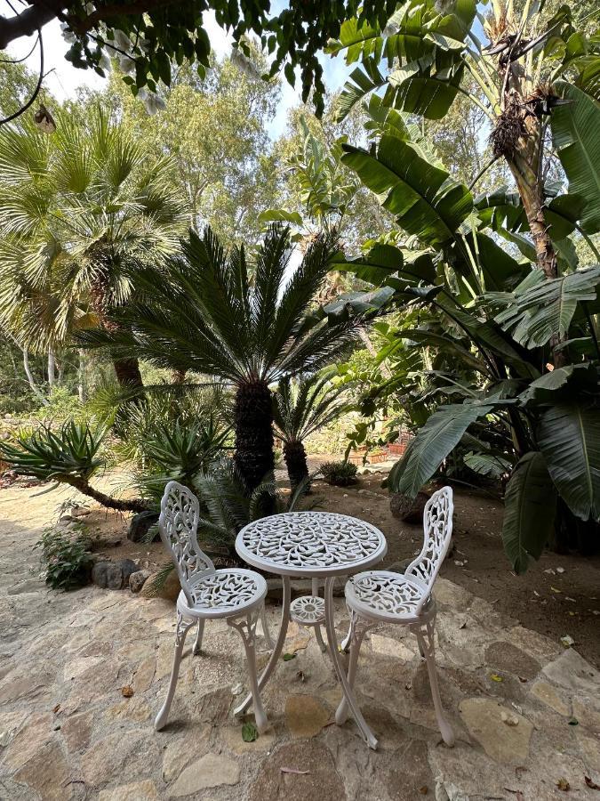 טורה דלה סטלה Villa La Petite Etoile מראה חיצוני תמונה